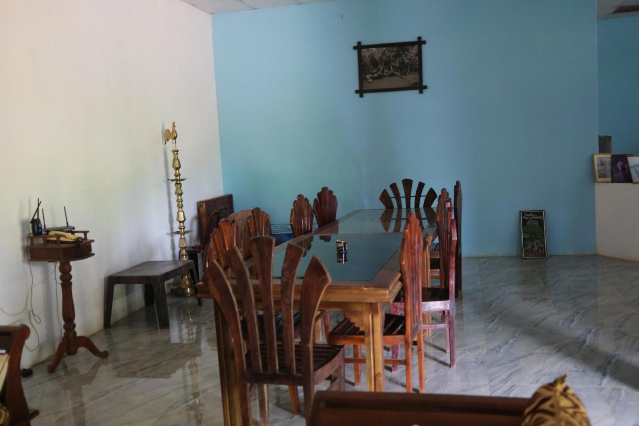 One More Night Hostel سيغيرِيا المظهر الخارجي الصورة